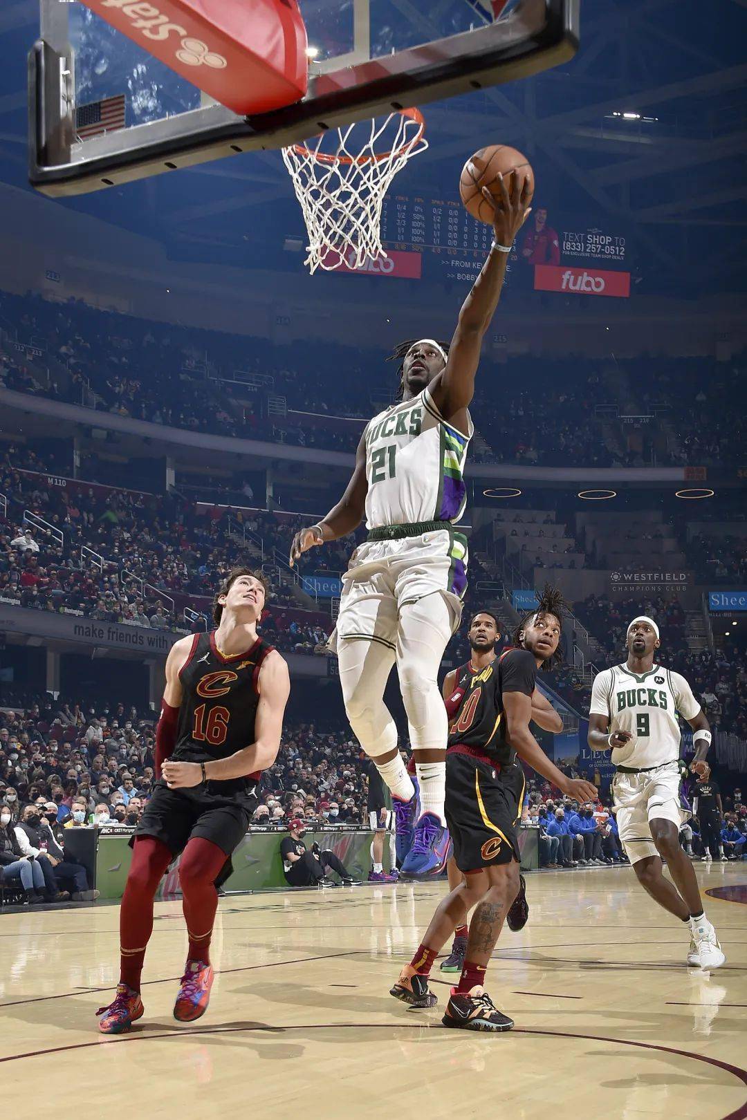 雄鹿碾压辽宁队，克莱高光表现